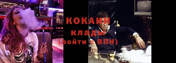 спиды Алзамай