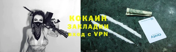 спиды Алзамай