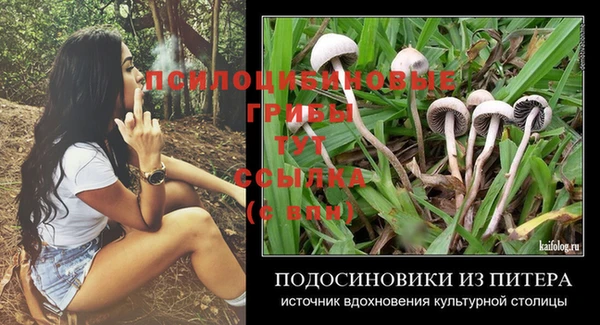 спиды Алзамай