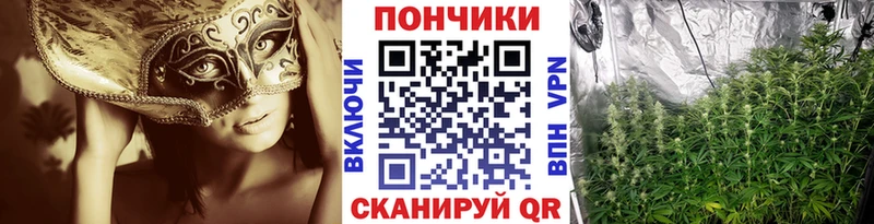 Канабис гибрид  Жуковка 